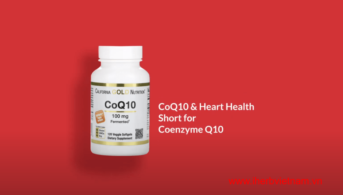 Coenzyme Q10 CoQ10