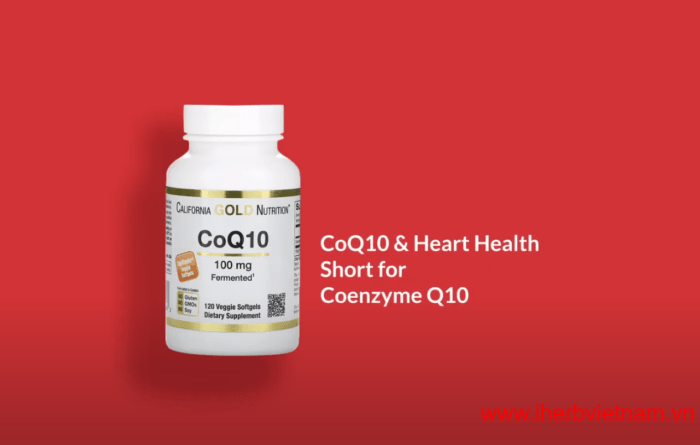 Coenzyme Q10 CoQ10