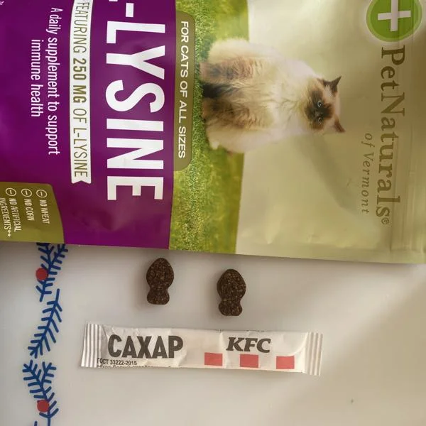 L Lysine For Cats2