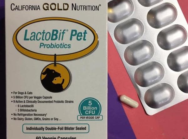 california gold nutrition lactobif pet probiotics 5 billion cfu 60 veggie capsules 2