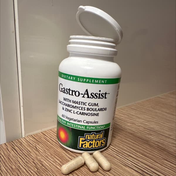 natural factors gastro assist with mastic gum saccharomyces boulardii zinc l carnosine 60 vegetarian capsules 2